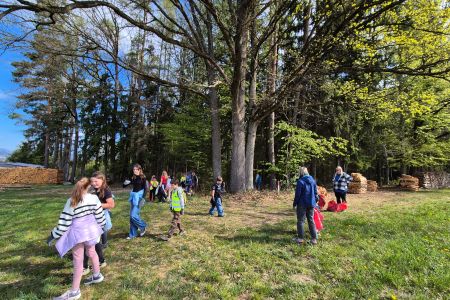 IMG_20260420_075448 (3).jpg