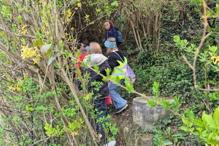 IMG_20260420_075448 (4).jpg