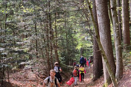 IMG_20260420_075448 (6).jpg